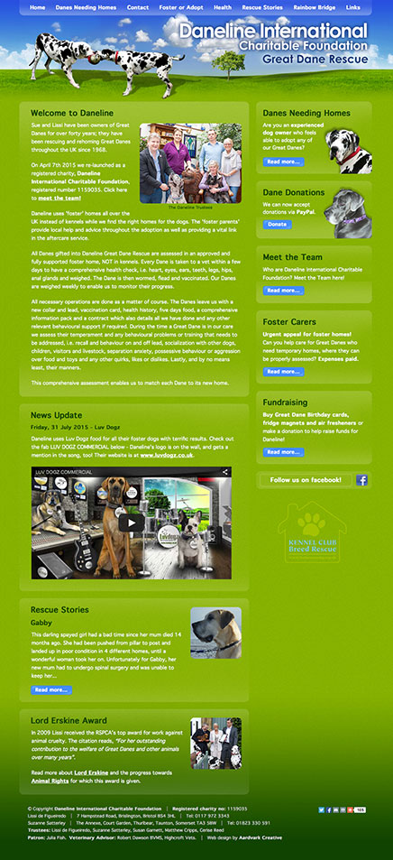 Responsive website for Daneline International Charitable Foundation